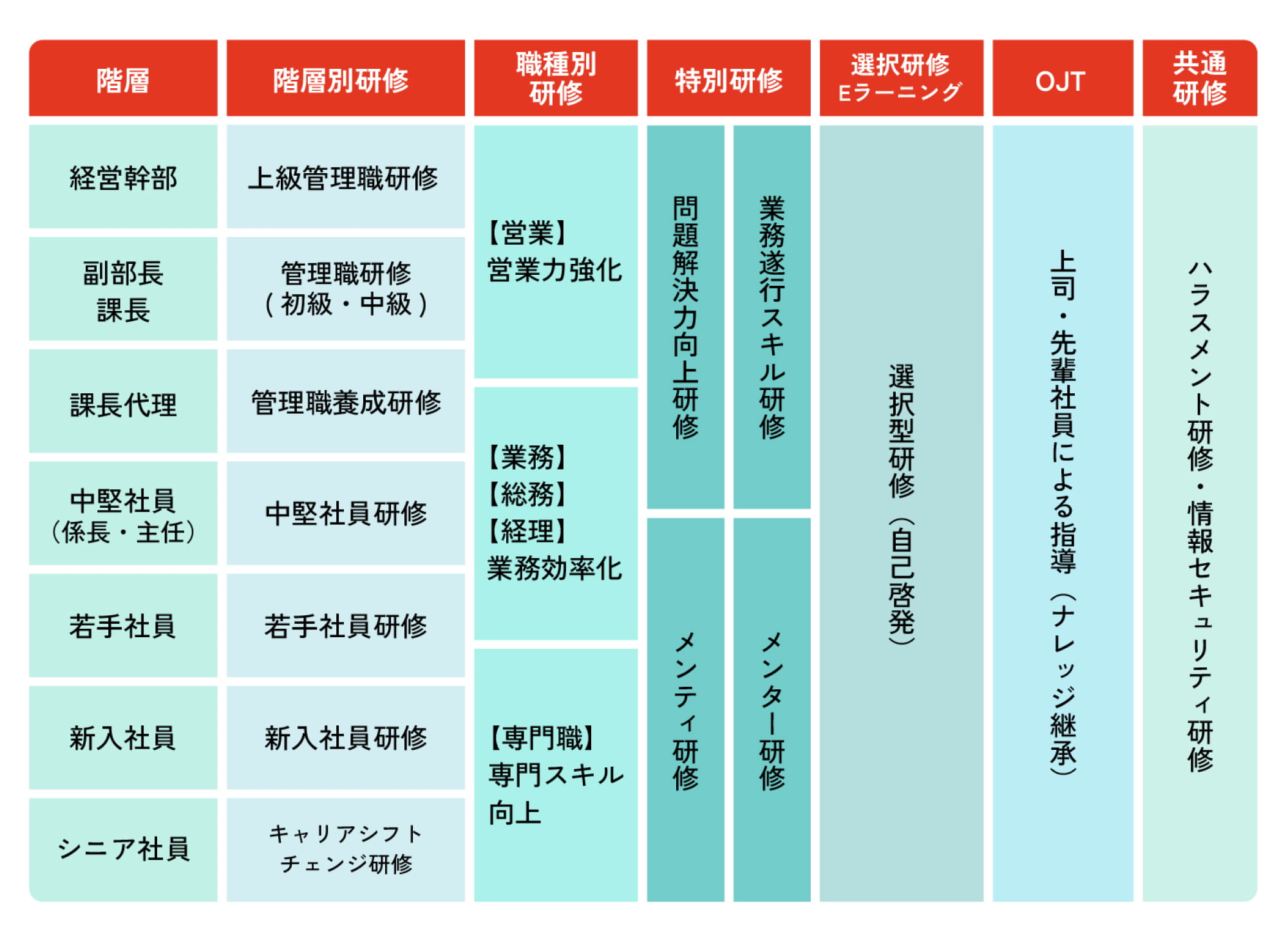 研修プログラム体系図。7つの研修カテゴリー（階層別研修、職種別研修、特別研修、選択研修Eラーニング、OJT、共通研修）を階層ごとに整理。【執行役員・部長】上級管理職研修（社外機関活用）、営業力強化、文章力向上研修、ファシリテーション研修が対象。【副部長・課長】中級管理職研修（初期・継続）、営業力強化、業務・総務・経理の業務効率化、文章力向上研修、ファシリテーション研修が対象。【課長代理】管理職養成研修、業務・総務・経理の業務効率化、文章力向上研修、ファシリテーション研修が対象。【中堅社員（係長・主任）】中堅社員研修、業務・総務・経理の業務効率化、文章力向上研修、ファシリテーション研修、メンティ研修、メンター研修が対象。【若手社員】若手社員研修、業務・総務・経理の業務効率化、文章力向上研修、ファシリテーション研修、メンティ研修、メンター研修が対象。【新入社員】新入社員研修、専門スキル向上、文章力向上研修、ファシリテーション研修、メンティ研修、メンター研修が対象。【主査・継続社員】エンプロイアビリティ研修、専門スキル向上、文章力向上研修、ファシリテーション研修、メンティ研修、メンター研修が対象。全階層共通：選択型研修（自己啓発Eラーニング）、上司・先輩によるOJT指導、ハラスメント研修。